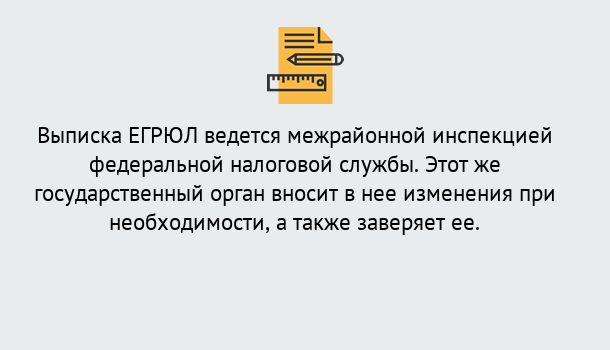 Почему нужно обратиться к нам? Вологда Выписка ЕГРЮЛ в Вологда ?