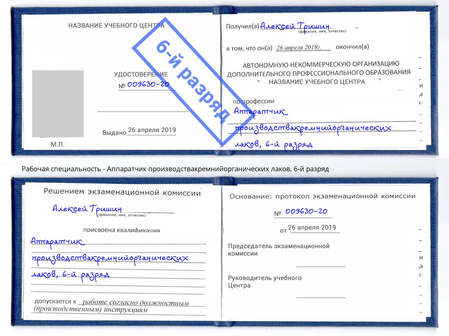 корочка 6-й разряд Аппаратчик производствакремнийорганических лаков Вологда