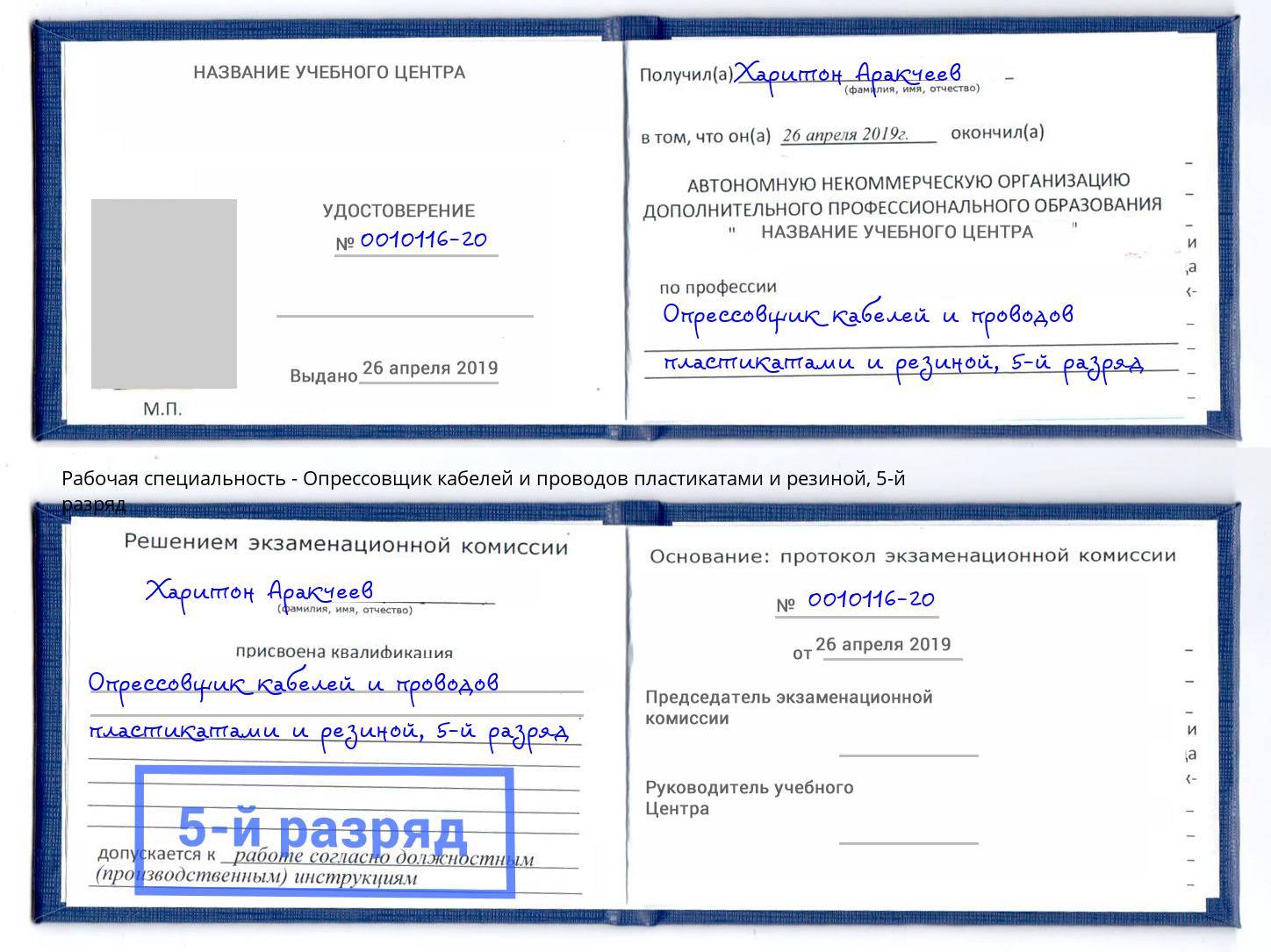 корочка 5-й разряд Опрессовщик кабелей и проводов пластикатами и резиной Вологда